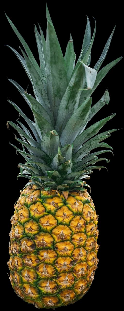 Pineapple